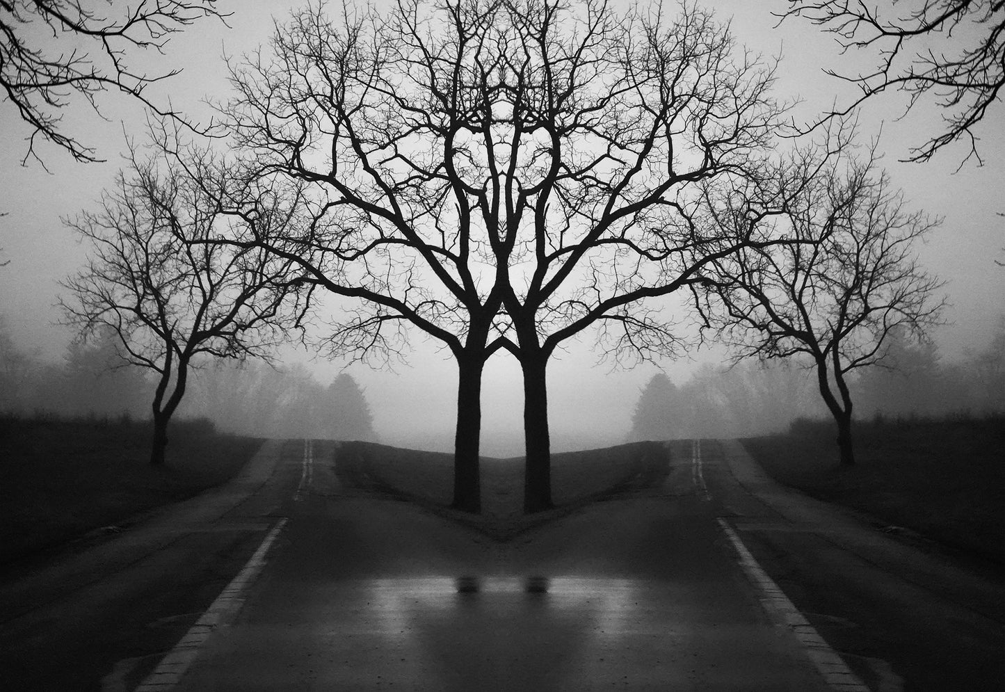 When the World Goes Flat (Valley Forge Park Nightwalk Series)