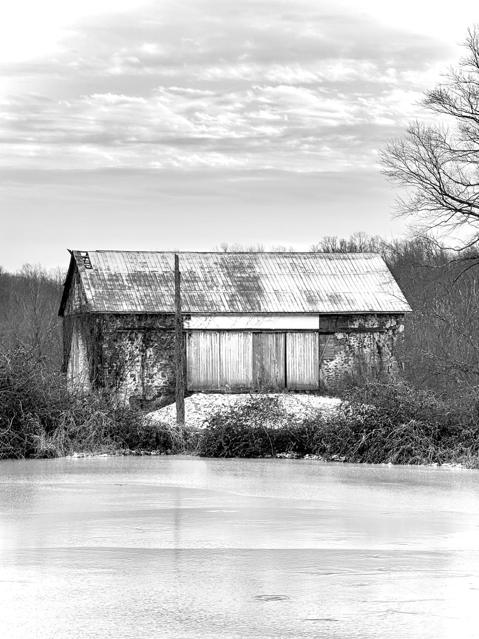 Winter Whispers Chester County Landscape Photo