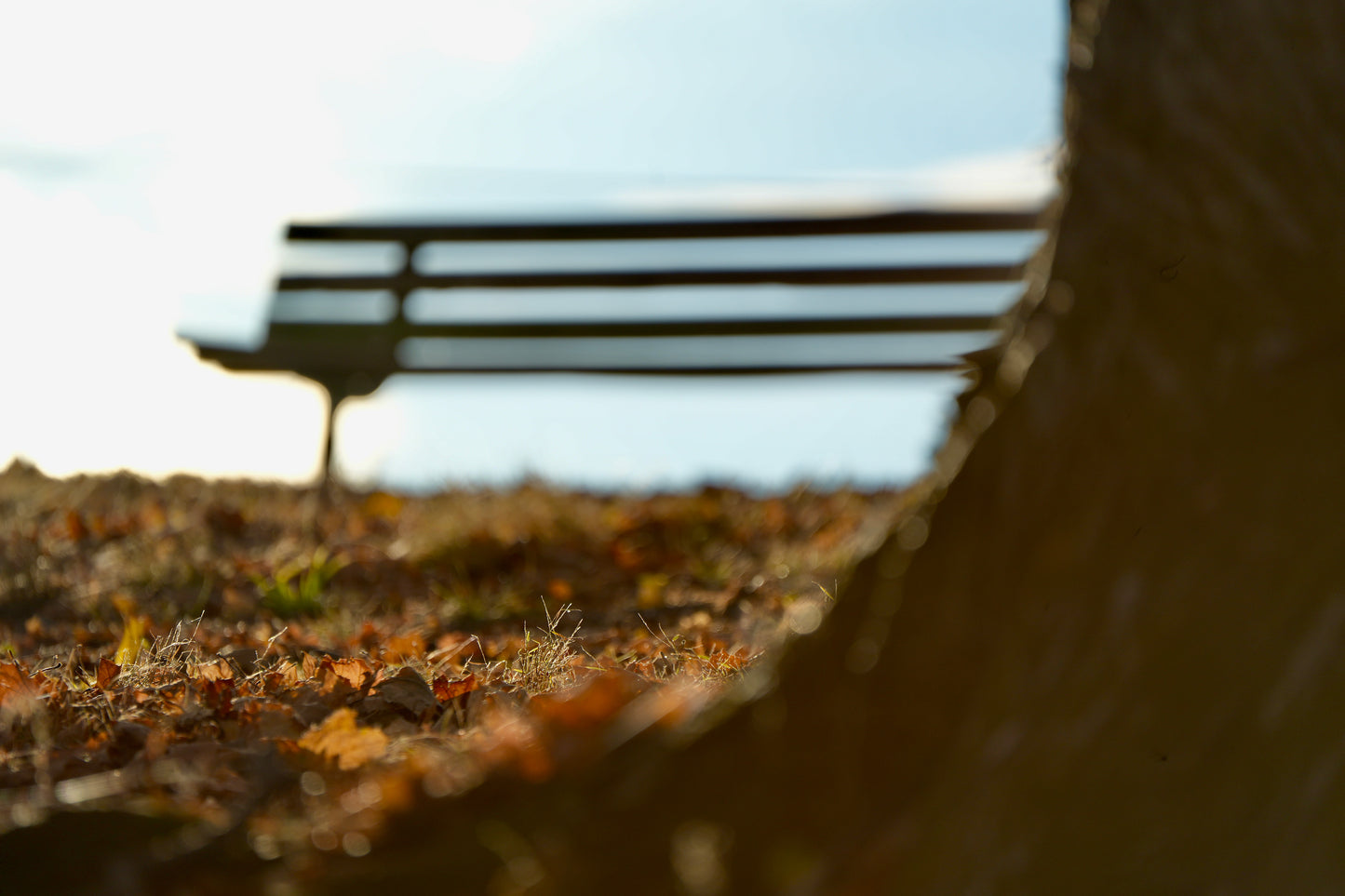 Phoenixville Reservoir Park Bench